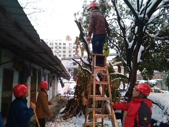 “冷暖小管家”助力居民清理屋顶积雪，传递爱的温暖.jpg